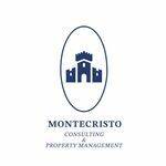 Montecristo Consulting